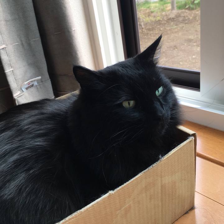 1a49ef62 b2c1 4c9c 87c8 a93404260c54 1557380053592