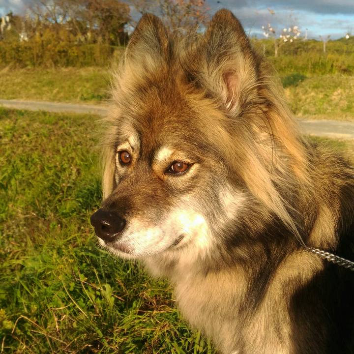 1a4a2c3b 5dbc 4f3e 8d5d 76130a8b5be7 1542941463909