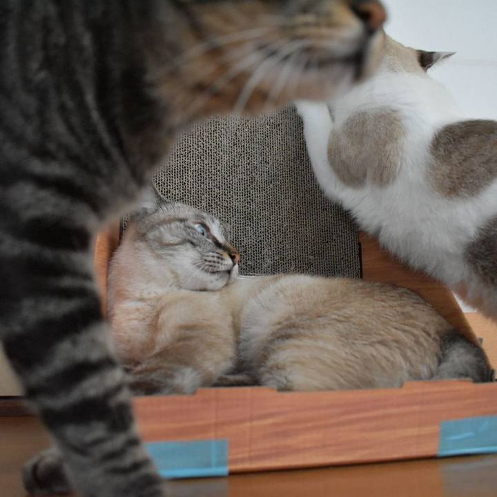 1a4a4da8 db6d 43b8 a206 dd0d6a7057e4 1567931700794