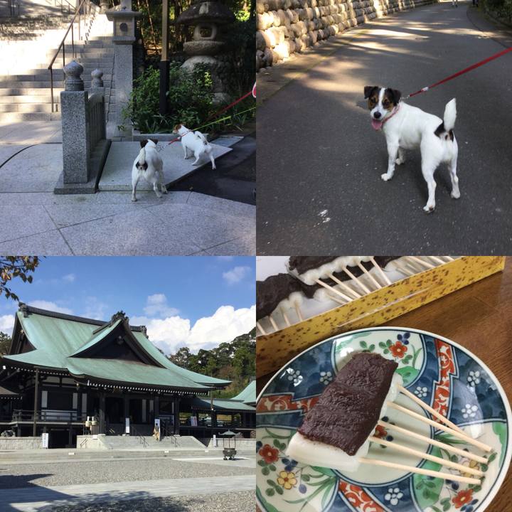 1a4a4e7a fb13 4348 a564 e2bac37244c5 1540017034325