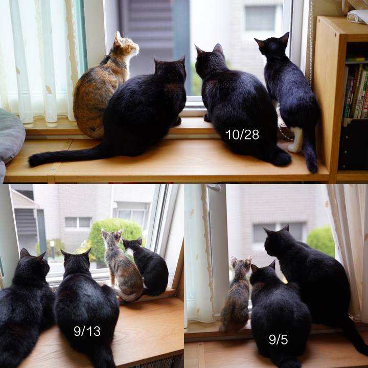 1a4a61f1 c551 4be2 aeb0 7203f7d7ac3b 1572270154715