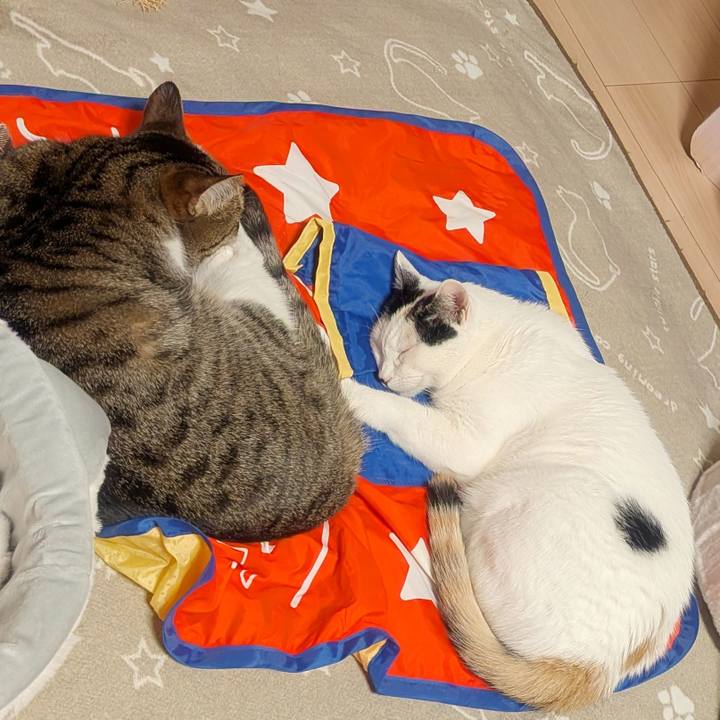 1a4a7d95 aab4 4c8f af4b 82cecbd230ee 1768911753891