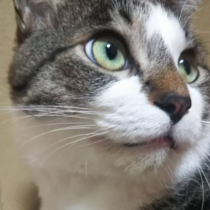 1a4a9c43 c1f8 4fa4 a958 e5f377fea981 1608473482486