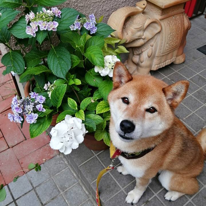 1a4ad322 f4fb 4ef0 8607 41ad4e534600 1623656537693