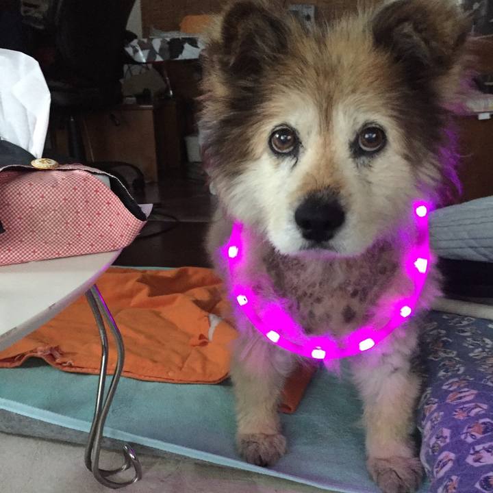 1a4aec7b 86bc 4dd1 8e4c 8ec495146942 1561662290451