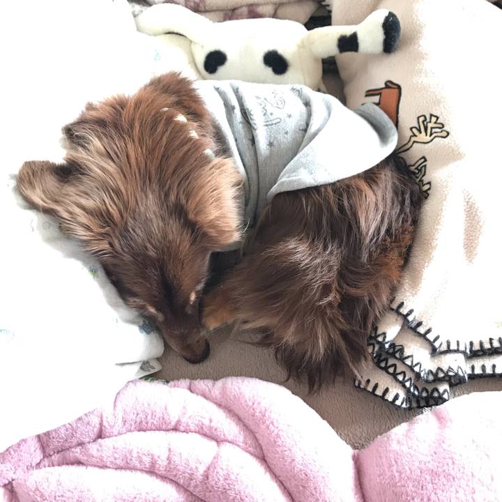 1a4afc9c 4d2d 47f0 a911 9b33d914d2f2 1583718088239