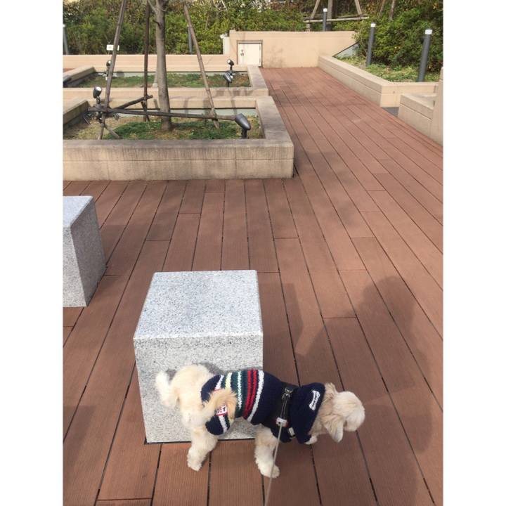 1a4b655f 0201 4901 9212 985ee4122b81 1543043196571