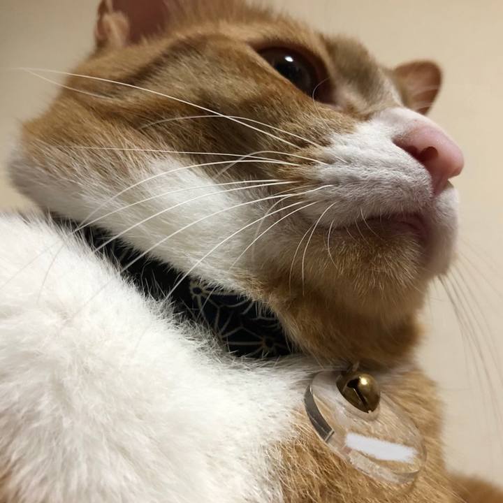 1a4b6c5e 4eb6 4628 ae70 6e3420732df1 1558349156154