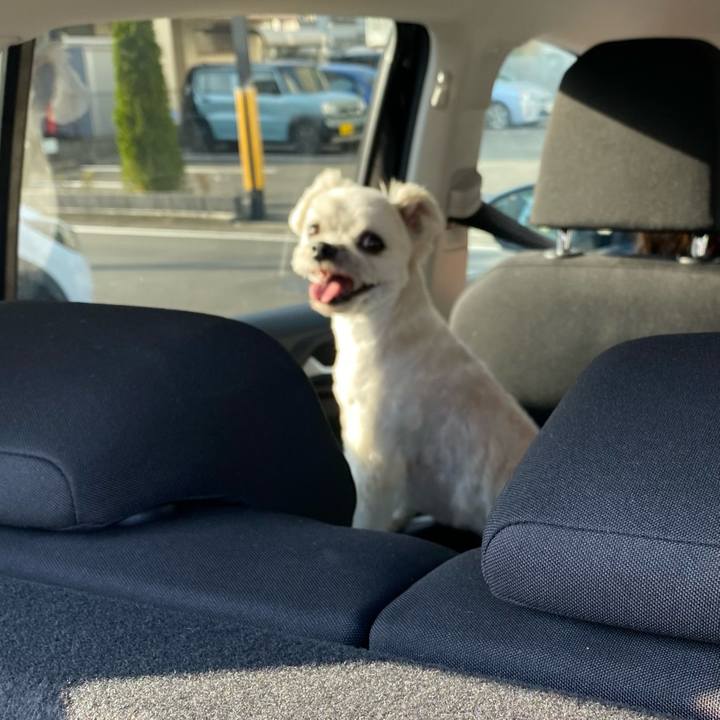 1a4b9cdc 9f0d 46c9 b71b 0ccc83edf9da 1668431673044