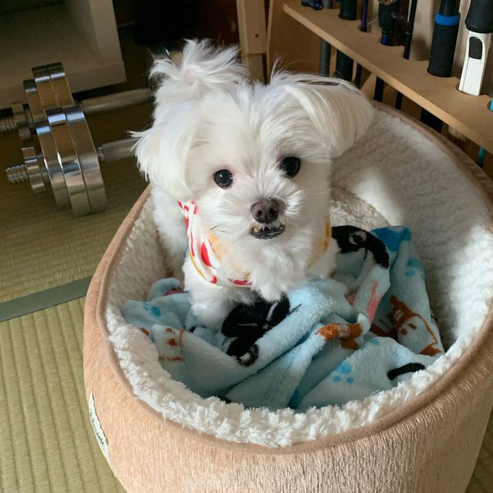 1a4bae23 10fd 4cdc 8eed d79c5b5a3487 1665268825742