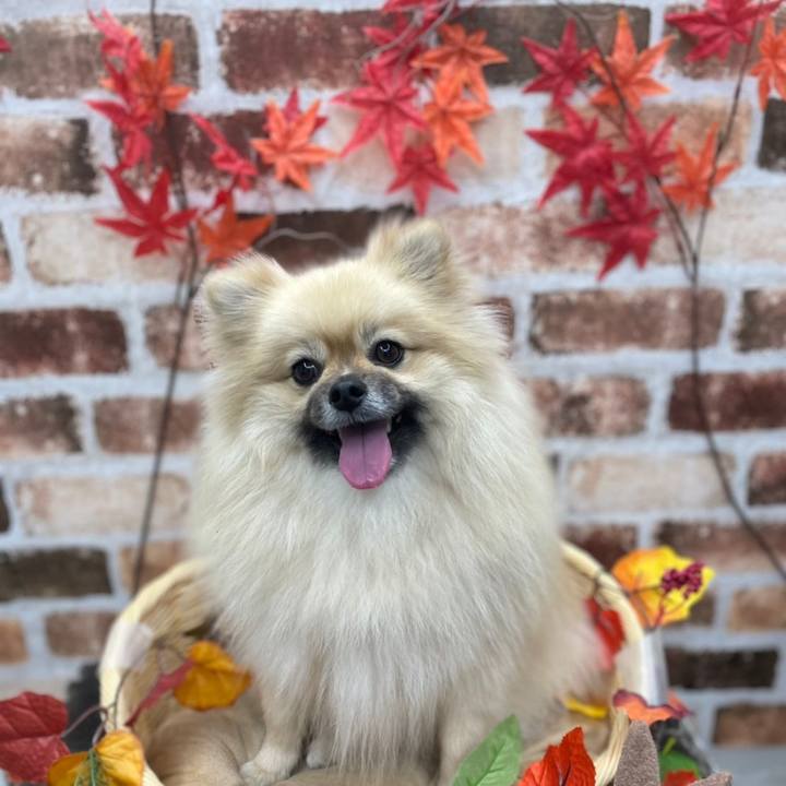 1a4bb28c 221b 46c8 a4bd 1f682f10684a 1669263128884