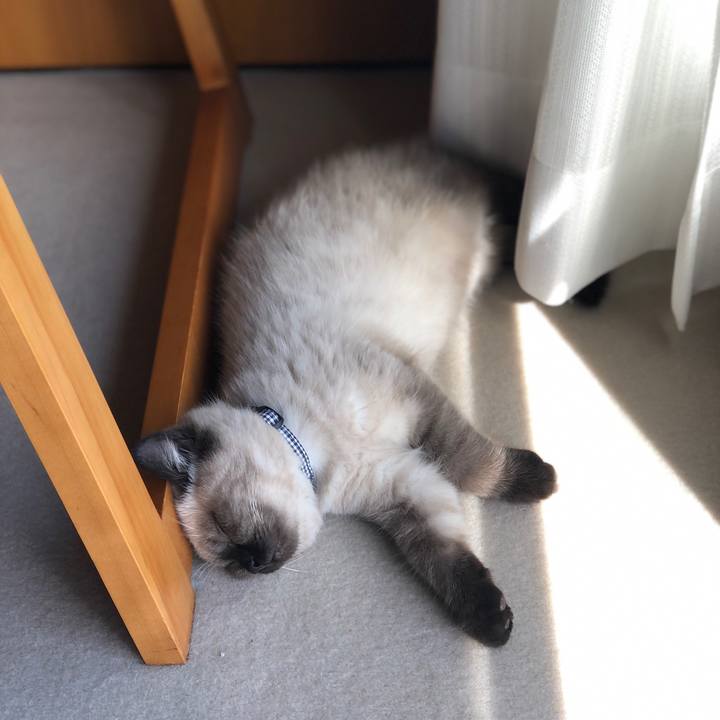 1a4bba27 c281 4953 af2e 56aa2676f0f7 1588843184066