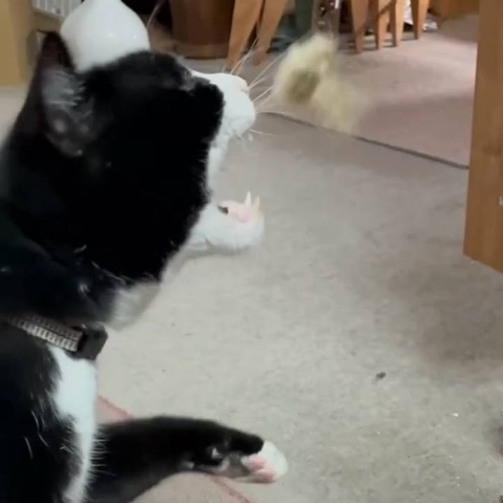 1a4bc00e 9665 48f0 8933 52e2ee17a60d 1767848186713