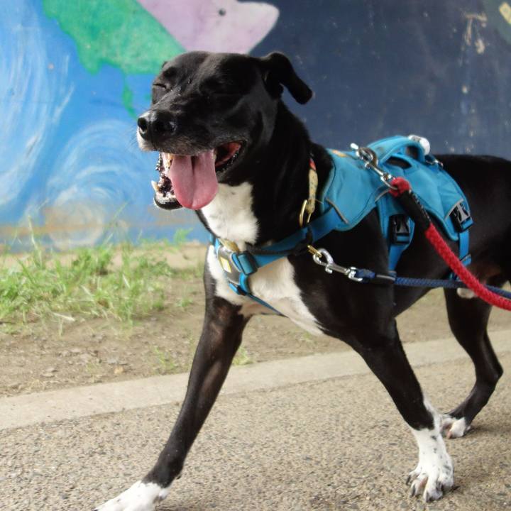 1a4bc952 c914 44da b9b2 a67c458206d9 1623543608279