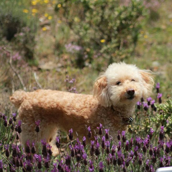 1a4c00b2 1bfc 4405 aa39 6c40ca9c4457 1558533320553