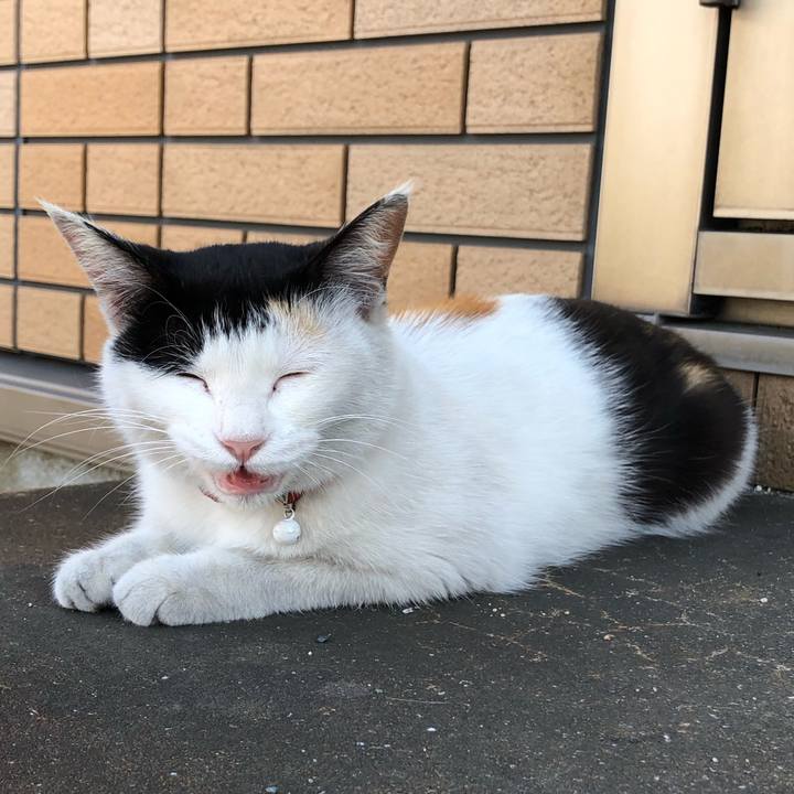 1a4c6477 8ed8 4b0a be7f 1ef351ce13bf 1623155482885