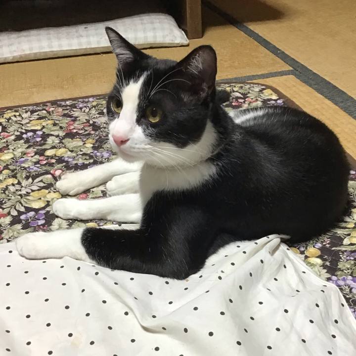 1a4c6485 fb6a 4b31 9142 213310078e99 1656154430680