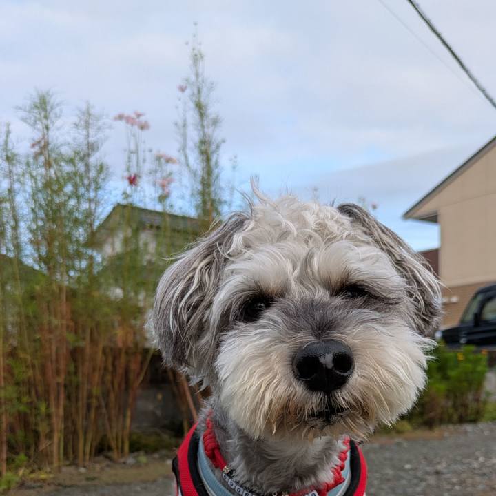 1a4caaa3 2c40 4539 8e30 83ab722f572d 1758761308560