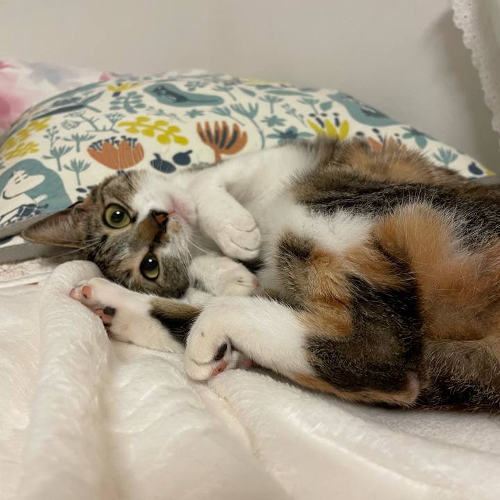 1a4ce3c1 091f 45ec 84e2 d3ef6c7e3a56 1651932472316