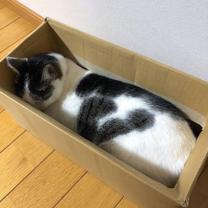 1a4d21e1 e51b 4d20 b2ae fbaaf9213ce6 1660829076124