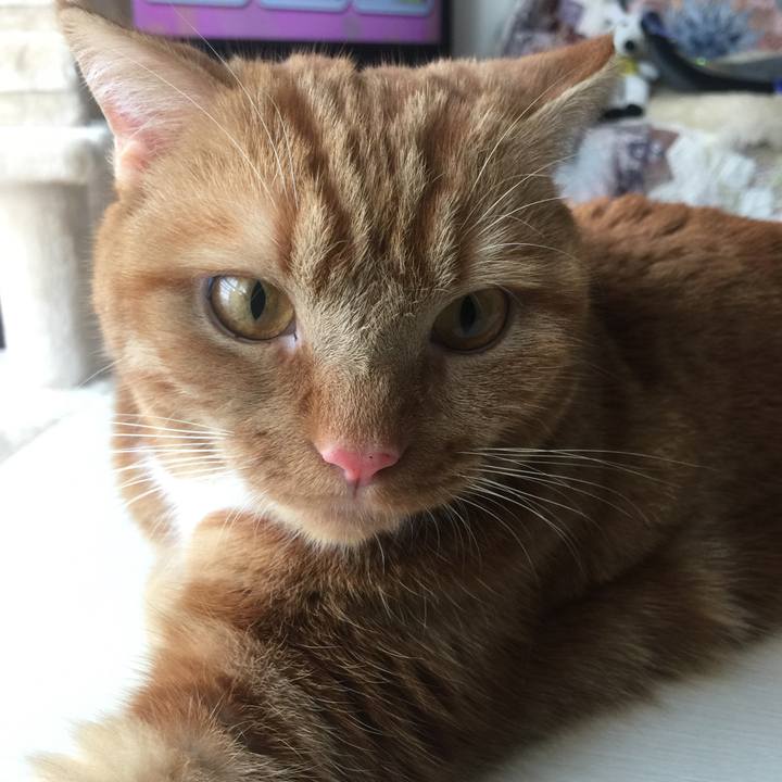 1a4d5d91 81c4 43c0 8c61 44d6b095d1fc 1531867643191