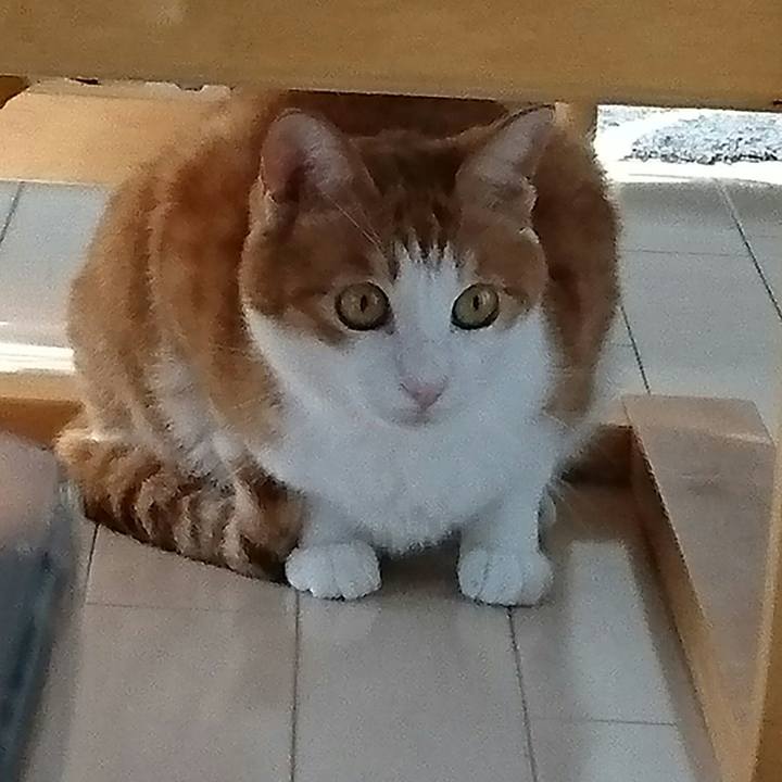 1a4d7258 b648 4fca a611 ca7e97a1ae4a 1509676171892