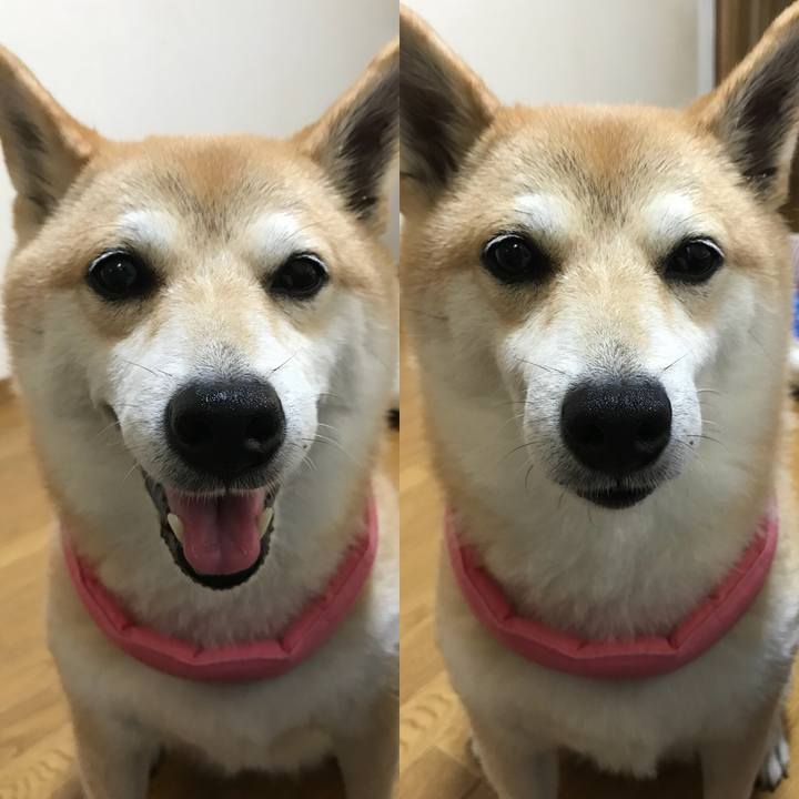 1a4d9cdb 35f5 4cfb 92b1 3941b42e8254 1531377185912