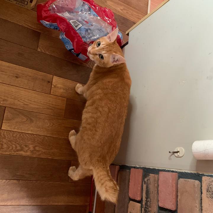 1a4dab66 8355 4d05 ae1c 9c9ff1bfeac7 1594991229594