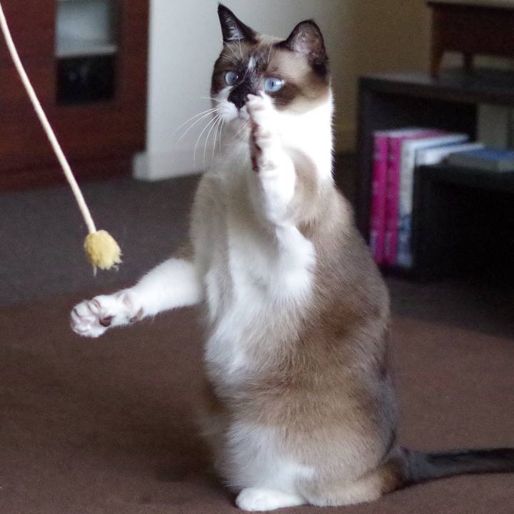 1a4df009 dd14 4474 bc01 a94def5c5408 1561123813041