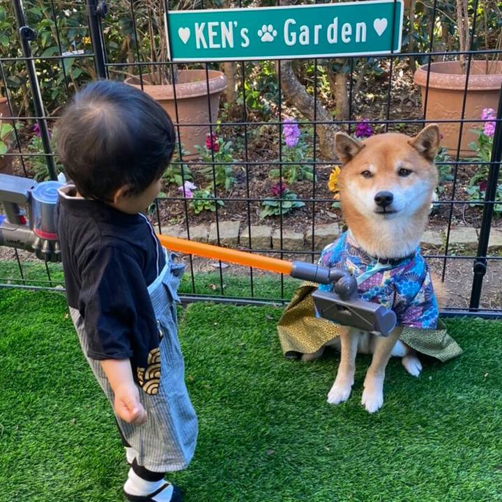 1a4e3615 7a03 4530 b1b4 1704399732b1 1577977774071