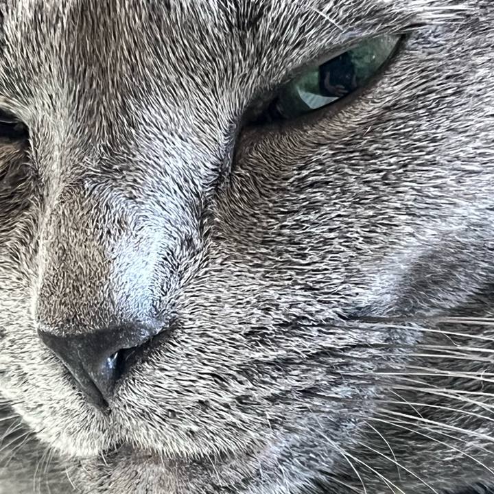 1a4e5325 b642 4aa7 b528 60ab3d4a35d7 1694841318629