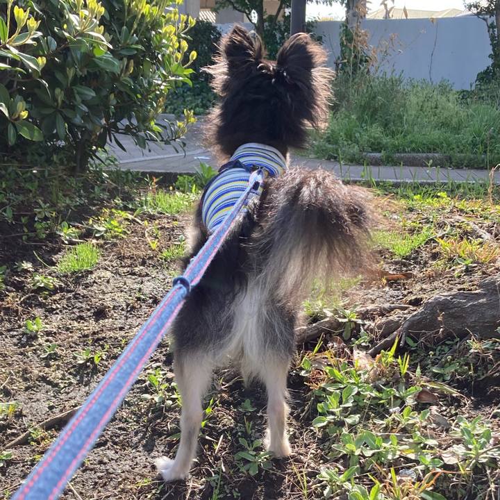 1a4e650a 2dc8 49d9 a582 070474d4f7db 1713096443895