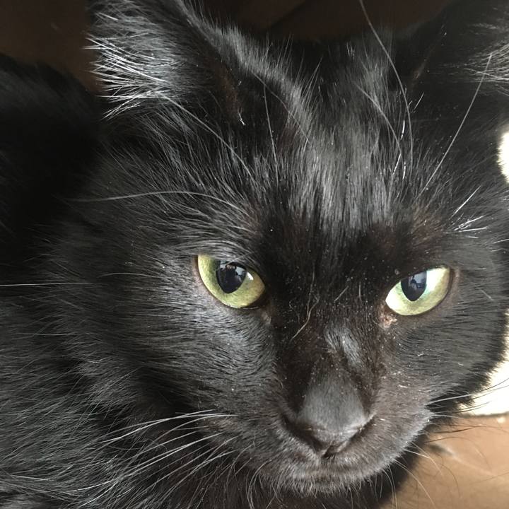 1a4e7ce3 9781 4370 854d 840500730503 1544922453967