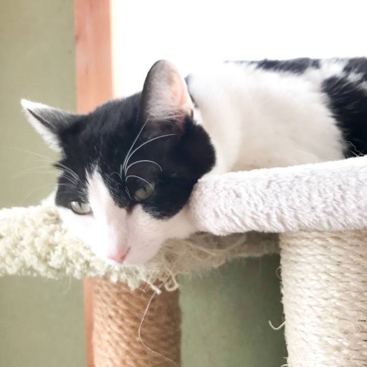 1a4eb417 d929 4b13 9682 84587ce1f543 1522716827176