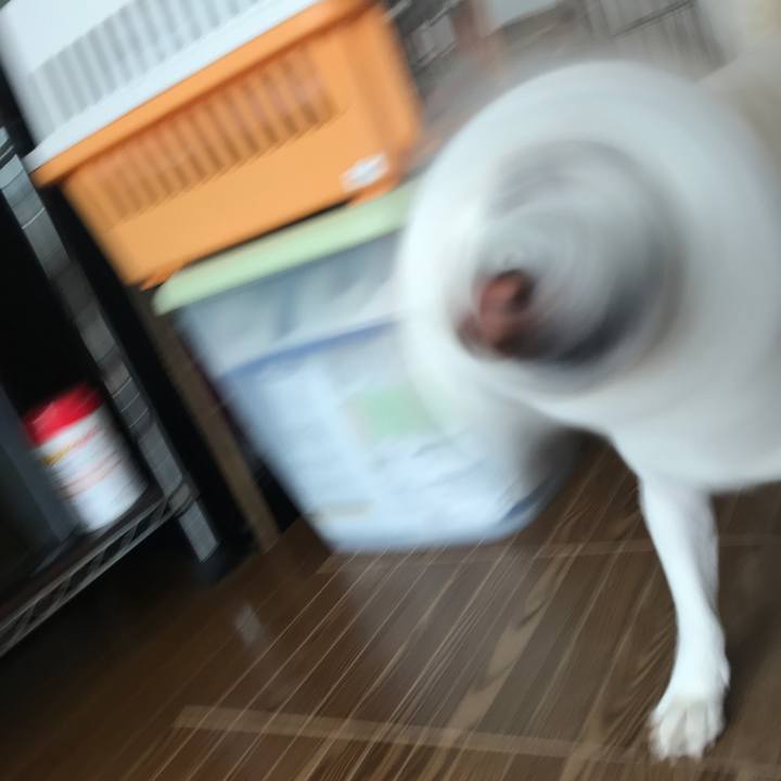 1a4eb856 bb32 4ad7 bccd 6393da3e174c 1538612288851