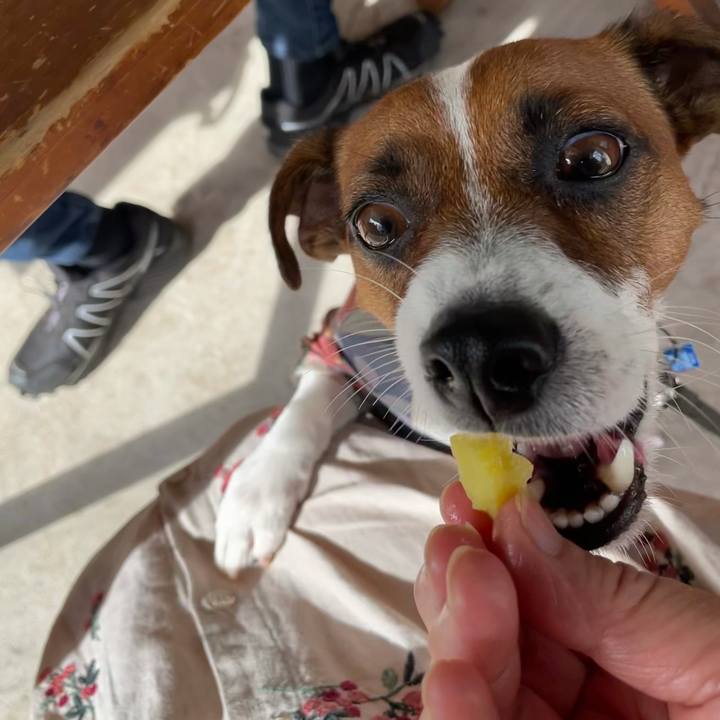 1a4f2cb0 a827 48ed b418 a684548498f9 1633701107085