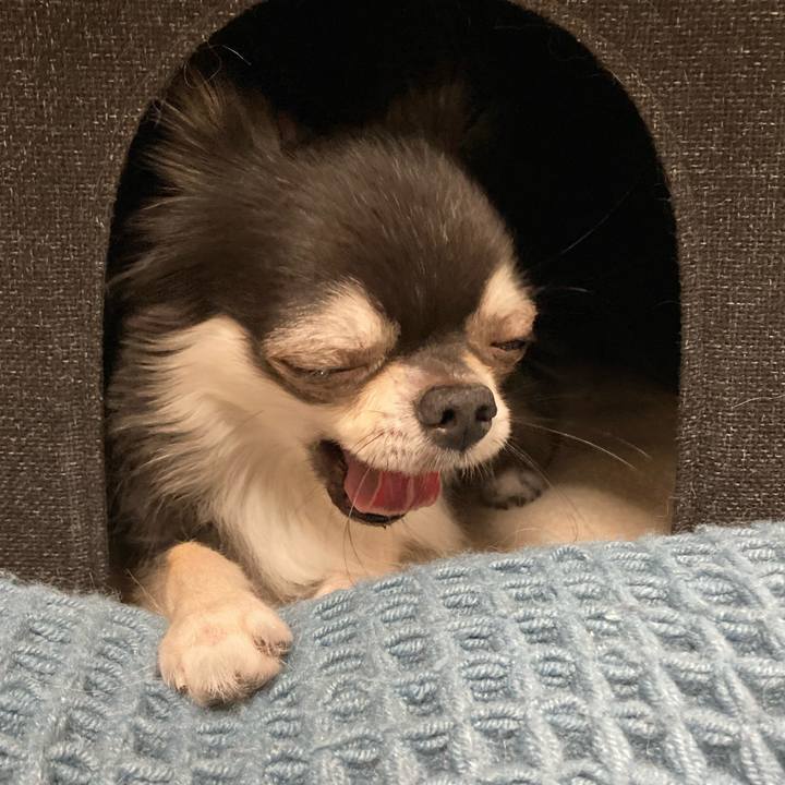 1a4f7502 16f3 42be bb7e 6a364ba1d09f 1664721746616