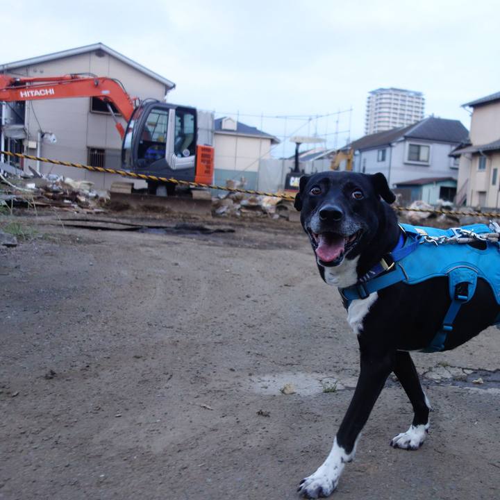 1a4f8a08 1bb9 4889 9283 622beae382f4 1684667527179