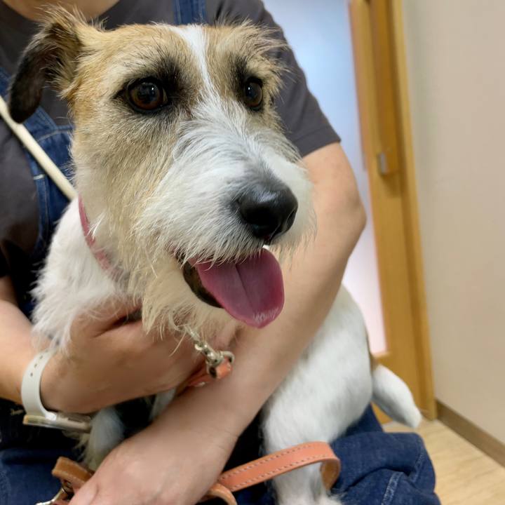 1a4fb44b 76db 431f 8108 2ce9958ee4c2 1687035100660