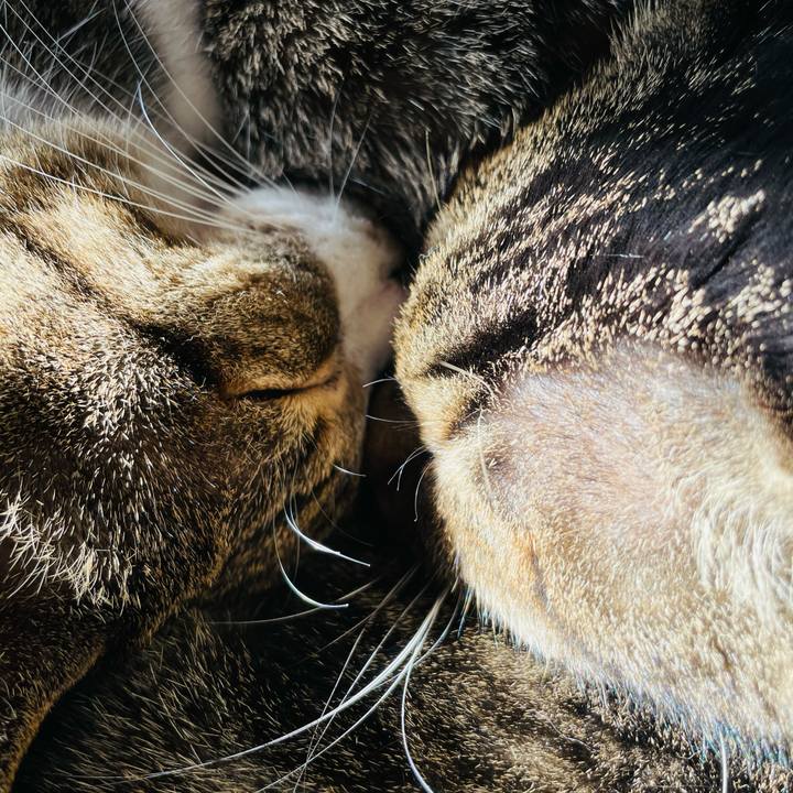 1a4fde24 2c8a 48df bb0d f7d97ca04caa 1608336941796