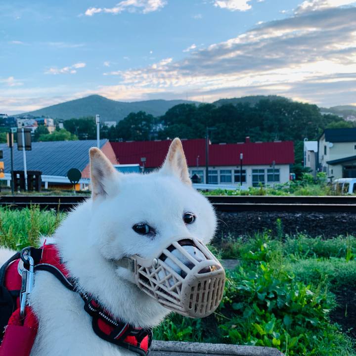 1a4ffb6b 6fa6 4eb2 a8ad 813fff22caaf 1658174747363