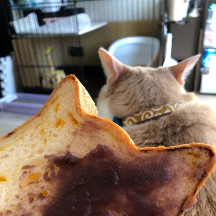 1a503391 e3bb 495f 9d2c 9a64811bd0a4 1578567904720