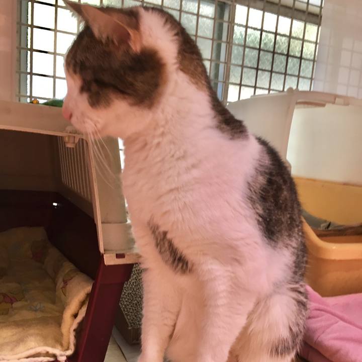 1a50650a d576 413a 80fb 29ead658907a 1509441103063