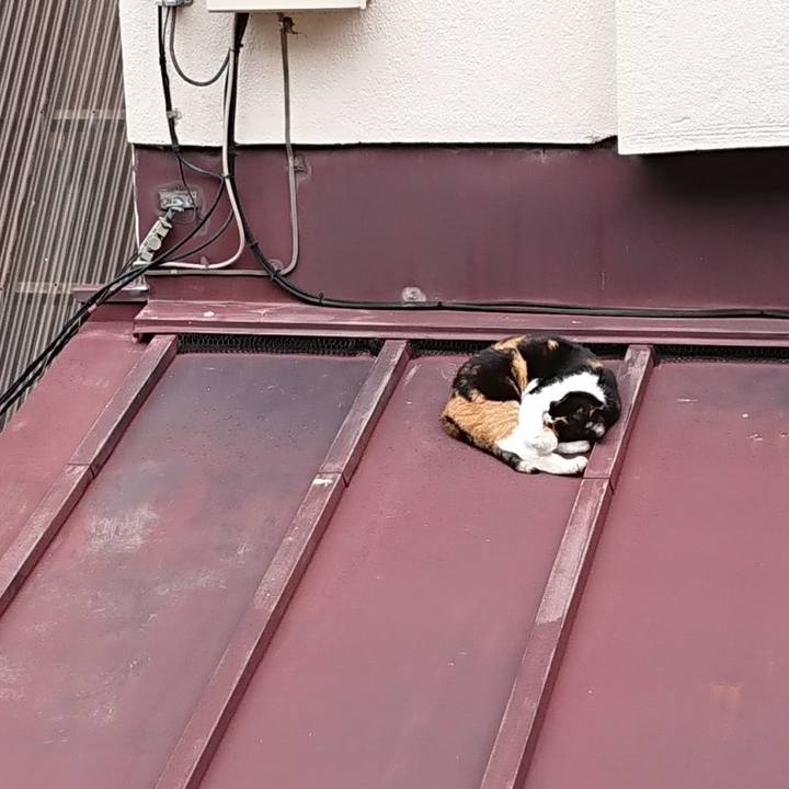 1a5089d4 71da 4bb1 b8fb c47a9170bc70 1665367061433