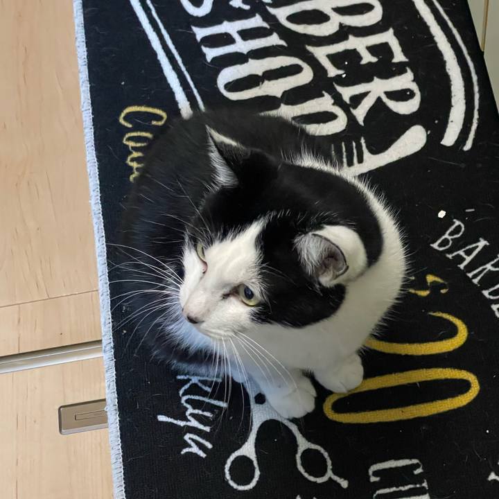 1a50b3bd c314 4461 a313 9e4556c02810 1703272256932