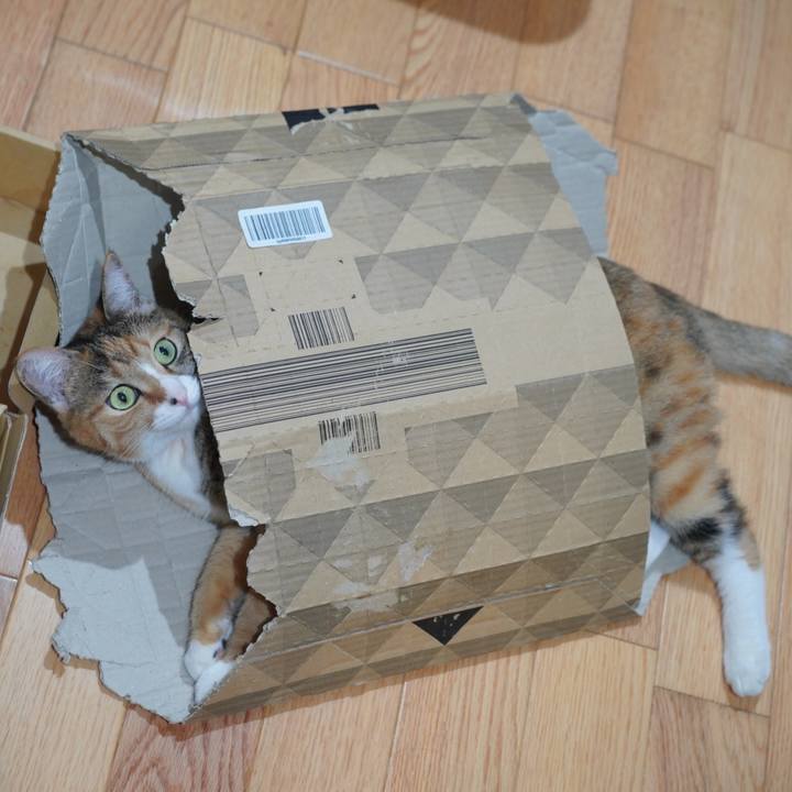 1a50fd52 4b27 4ddf 9861 3ef1436169f5 1629035690765