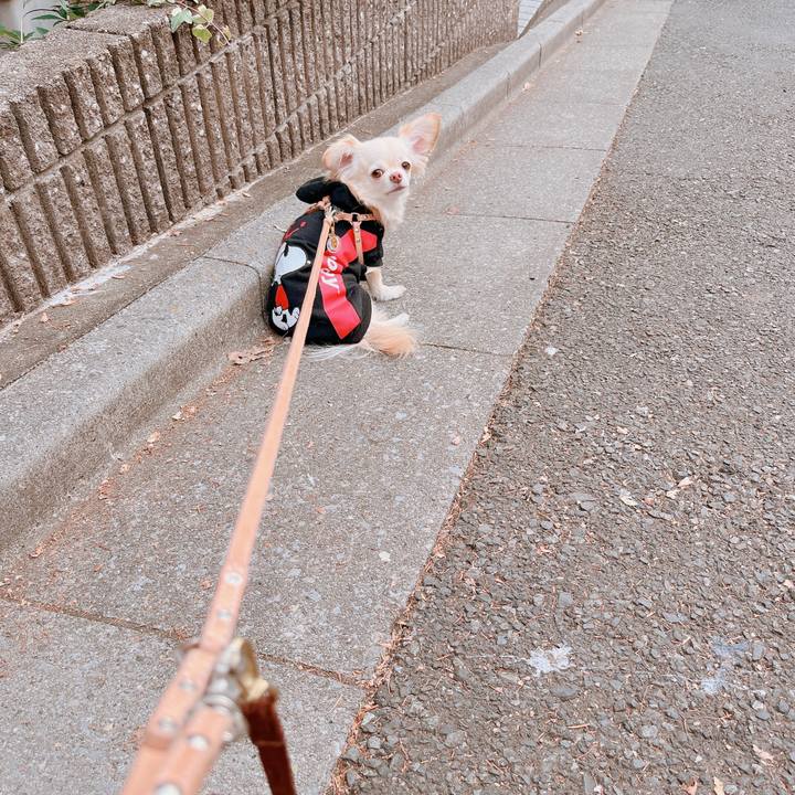 1a510b09 8e35 4a34 a78e 7a3b64562660 1673590355847