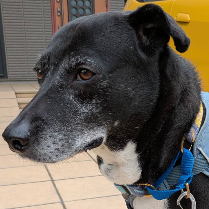 1a516566 a18b 4c1e 818e 42b2f81ca708 1748042894992