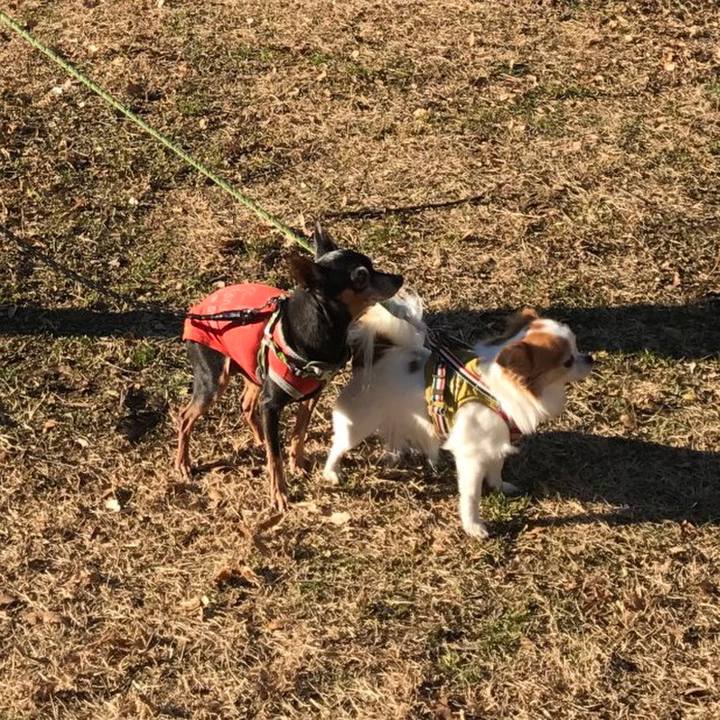 1a51a00f ad8a 45b0 9ba2 fc28ee61e907 1577973928451