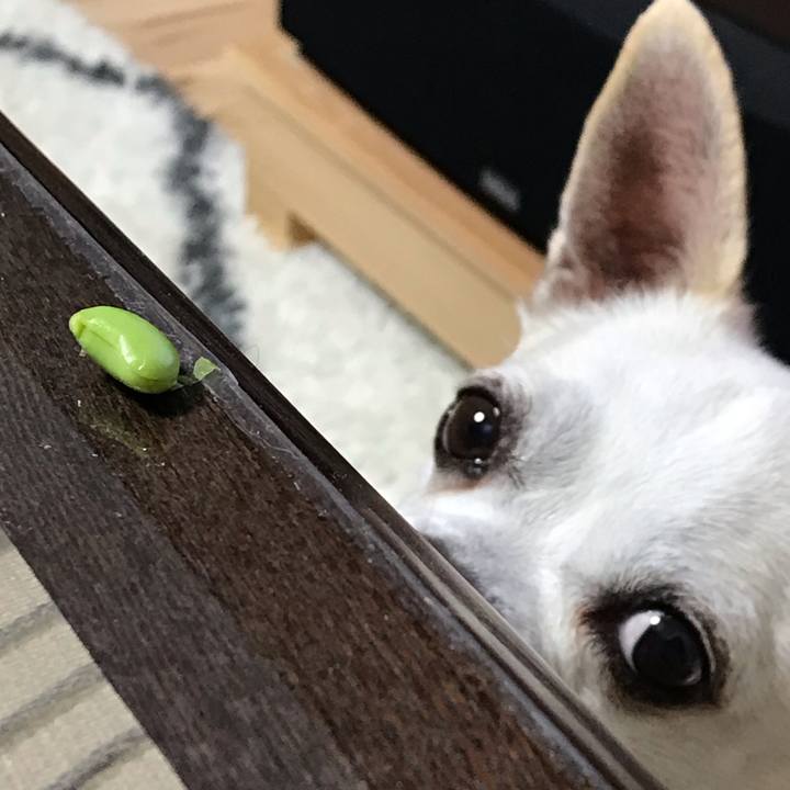 1a51add4 cdca 4611 8337 395fbabf5711 1604236516106